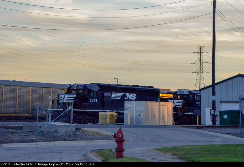 NS Locomotives in the yard